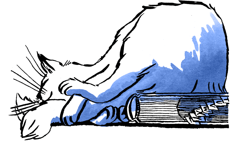 drawing of a sleeping cat